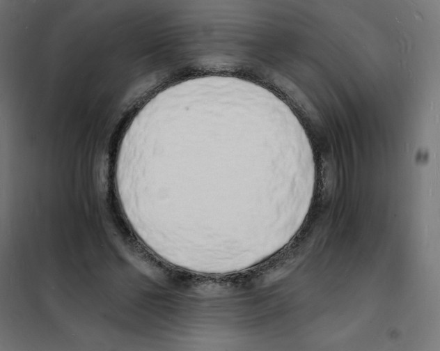 X0000101670494200808071048