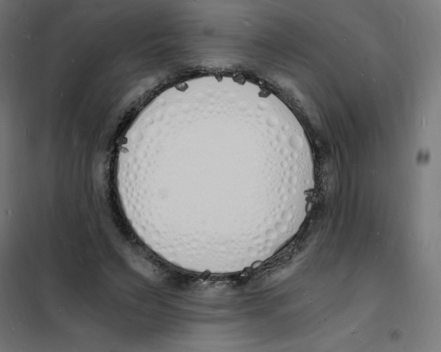 X0000101670495200808071048