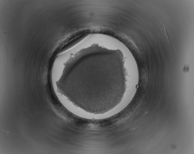 X0000101670496200808071048