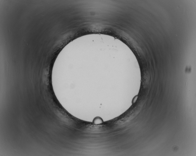 X0000101670497200808071048