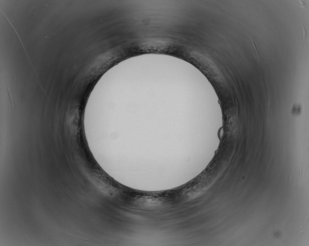X0000101670498200808071048