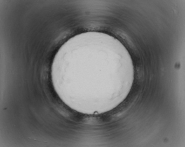 X0000101670499200808071048