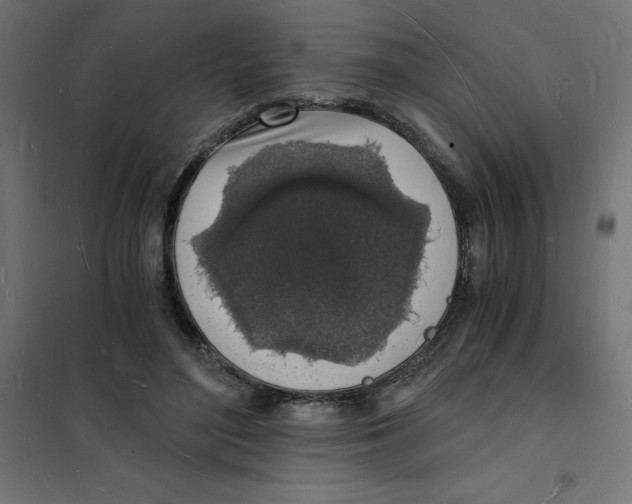 X0000101670500200808071048