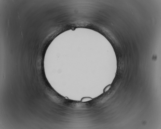 X0000101670501200808071048