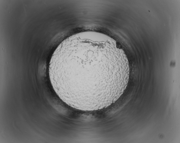 X0000101670502200808071048