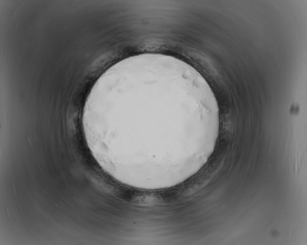 X0000101670503200808071048