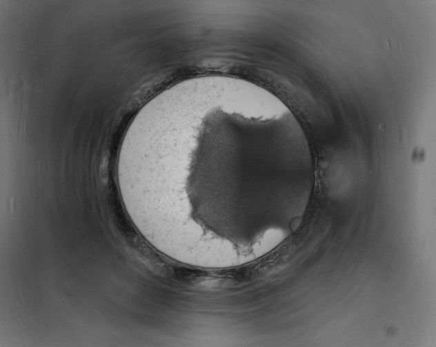 X0000101670504200808071048