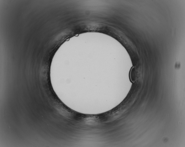 X0000101670505200808071048