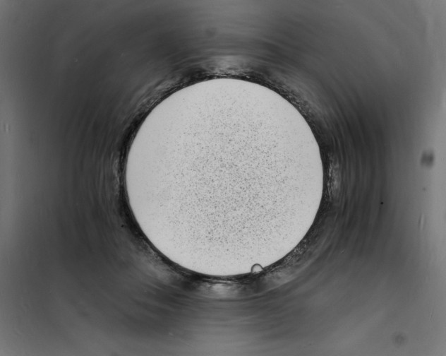 X0000101670506200808071048