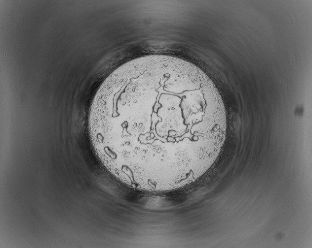 X0000101670507200808071048