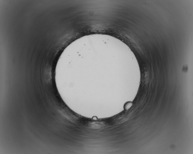 X0000101670508200808071048
