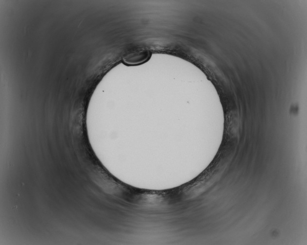 X0000101670509200808071048
