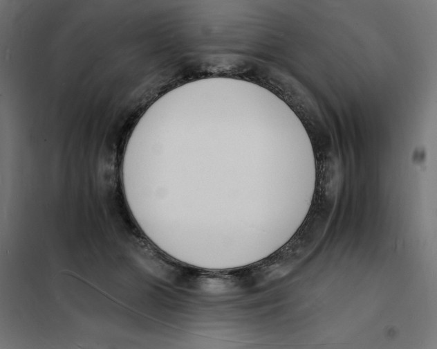 X0000101670510200808071048
