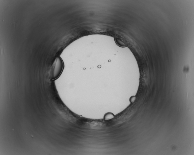 X0000101670512200808071048