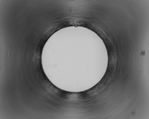 X0000101670513200808071048