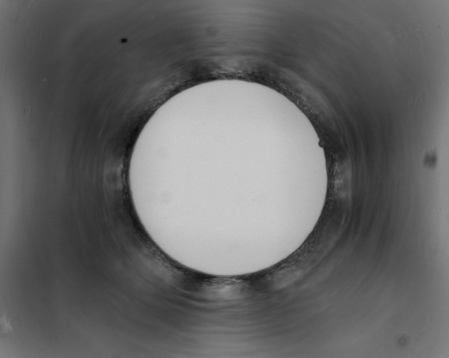 X0000101670514200808071048