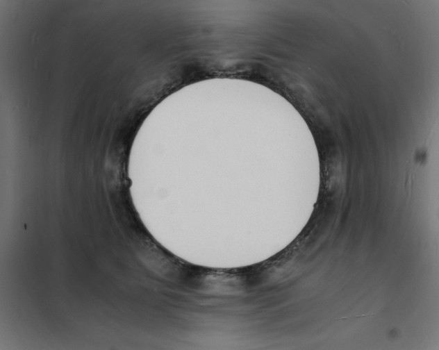 X0000101670515200808071048