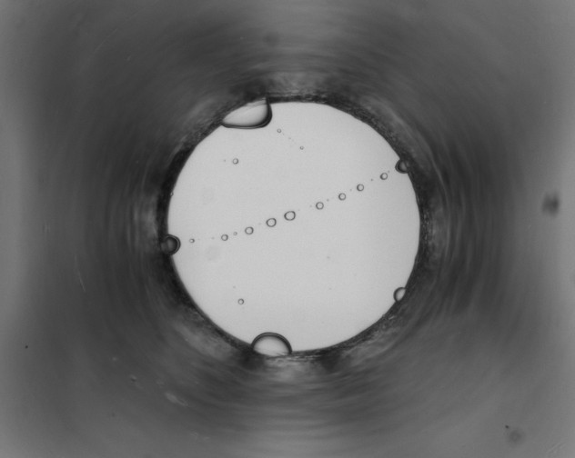 X0000101670516200808071048