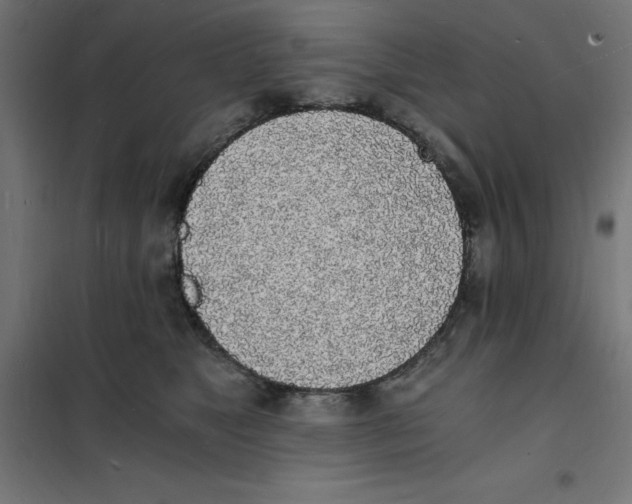 X0000101670517200808071048