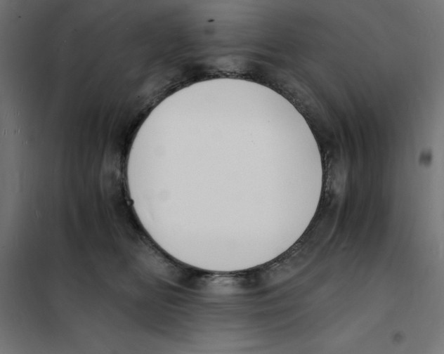 X0000101670518200808071048