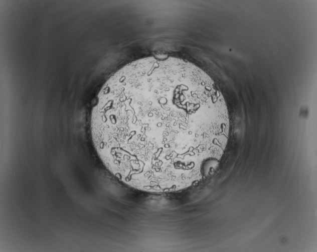 X0000101670519200808071048