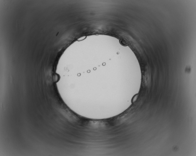 X0000101670520200808071048