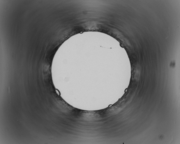 X0000101670521200808071048