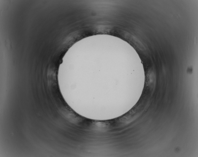 X0000101670522200808071048