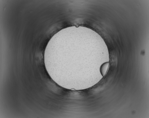 X0000101670523200808071048