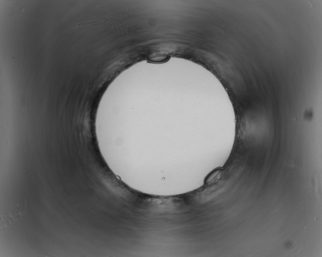 X0000101670524200808071048