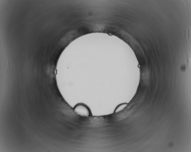 X0000101670525200808071048