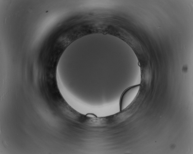 X0000101670526200808071048