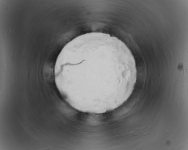 X0000101670527200808071048