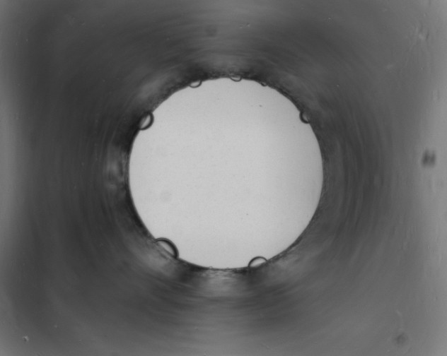 X0000101670528200808071048