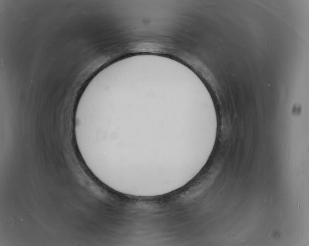 X0000101670529200808071047