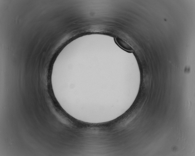 X0000101670530200808071047