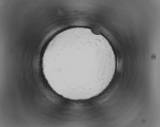 X0000101670531200808071047