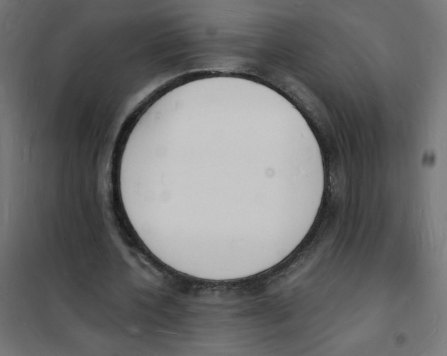 X0000101670532200808071047