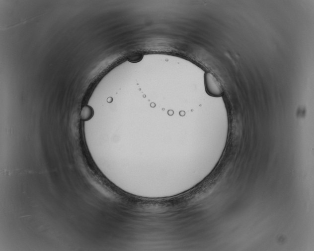 X0000101670533200808071047