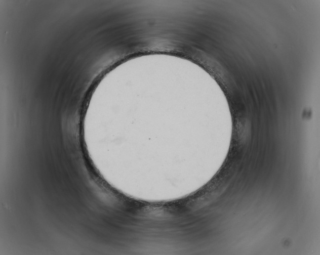 X0000101670534200808071047