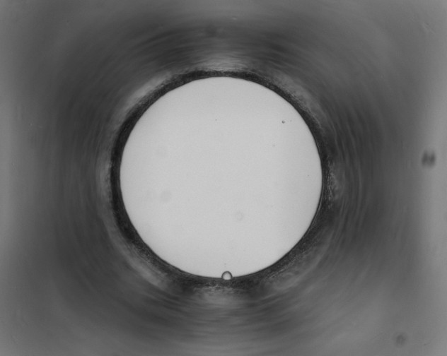 X0000101670535200808071047