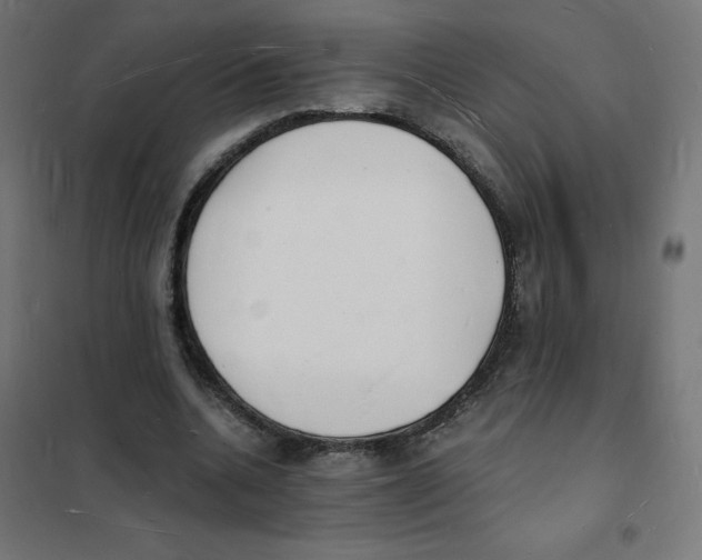 X0000101670536200808071047