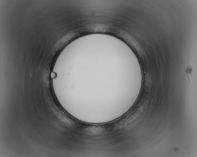 X0000101670537200808071047