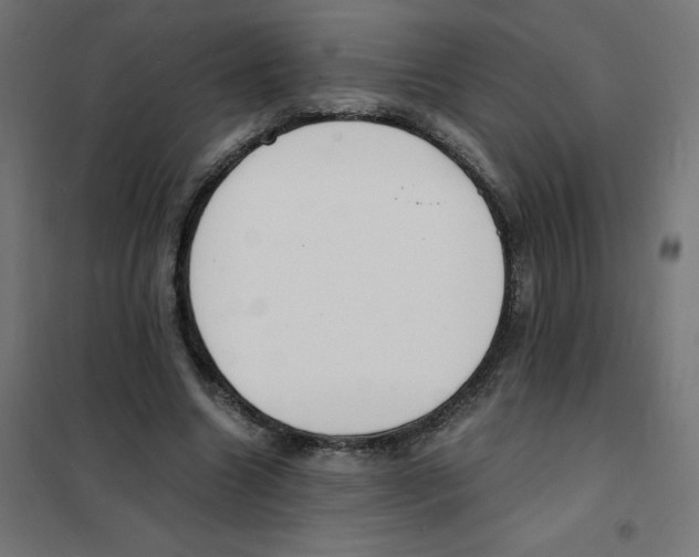 X0000101670538200808071047