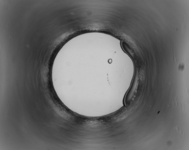 X0000101670540200808071047