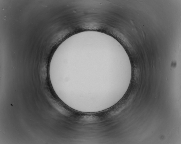 X0000101670541200808071047