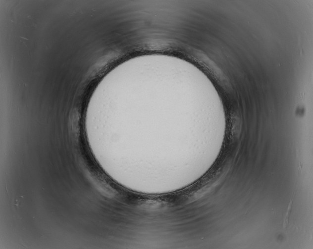 X0000101670542200808071047