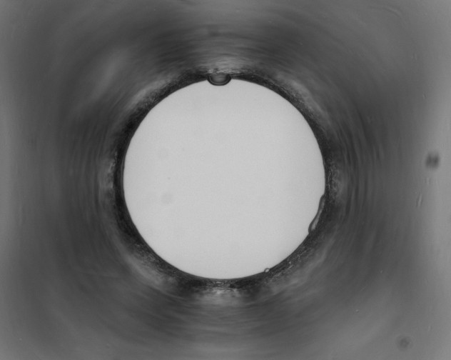 X0000101670543200808071047
