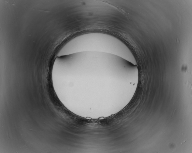 X0000101670544200808071047