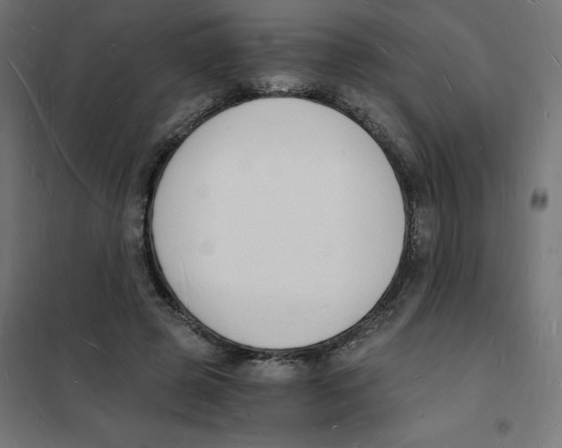 X0000101670545200808071047
